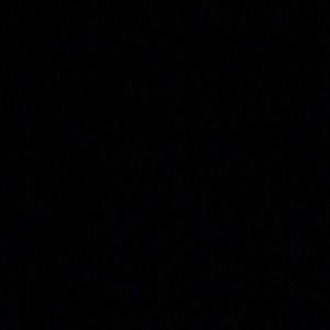 Meet your Posher, Dilek